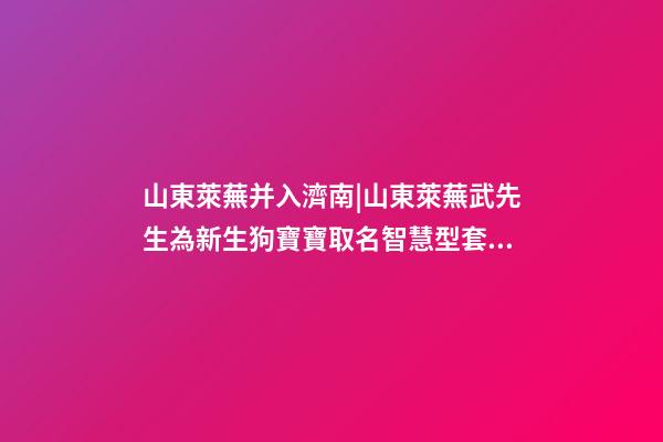 山東萊蕪并入濟南|山東萊蕪武先生為新生狗寶寶取名智慧型套餐-第1張-公司起名-玄機派
